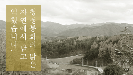 ��ǰ����